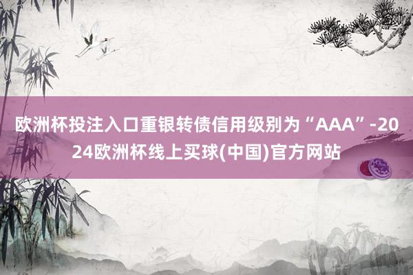 欧洲杯投注入口重银转债信用级别为“AAA”-2024欧洲杯线上买球(中国)官方网站