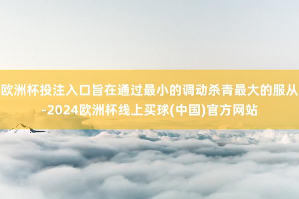 欧洲杯投注入口旨在通过最小的调动杀青最大的服从-2024欧洲杯线上买球(中国)官方网站