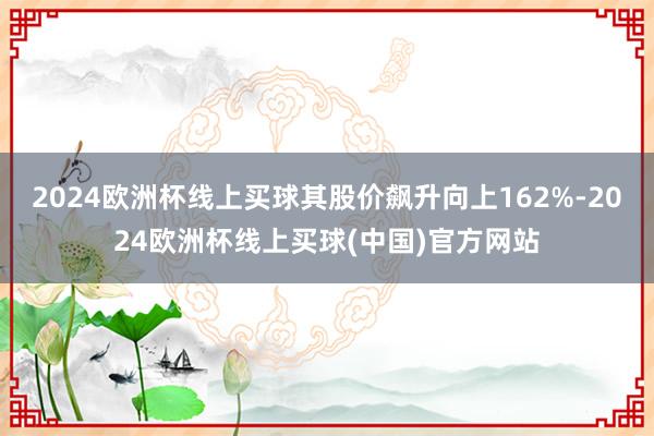 2024欧洲杯线上买球其股价飙升向上162%-2024欧洲杯线上买球(中国)官方网站