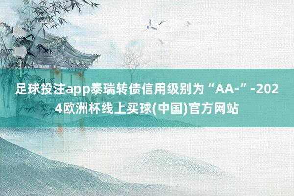 足球投注app泰瑞转债信用级别为“AA-”-2024欧洲杯线上买球(中国)官方网站