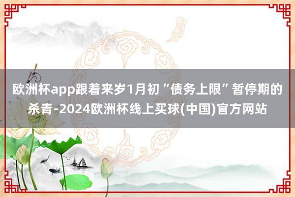 欧洲杯app　　跟着来岁1月初“债务上限”暂停期的杀青-2024欧洲杯线上买球(中国)官方网站