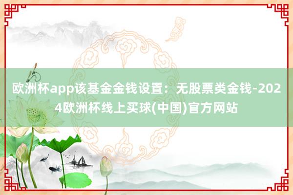 欧洲杯app该基金金钱设置：无股票类金钱-2024欧洲杯线上买球(中国)官方网站