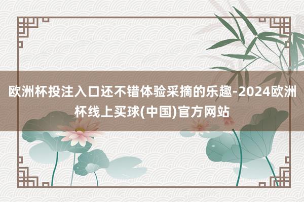 欧洲杯投注入口还不错体验采摘的乐趣-2024欧洲杯线上买球(中国)官方网站