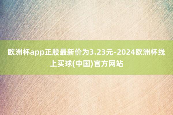 欧洲杯app正股最新价为3.23元-2024欧洲杯线上买球(中国)官方网站