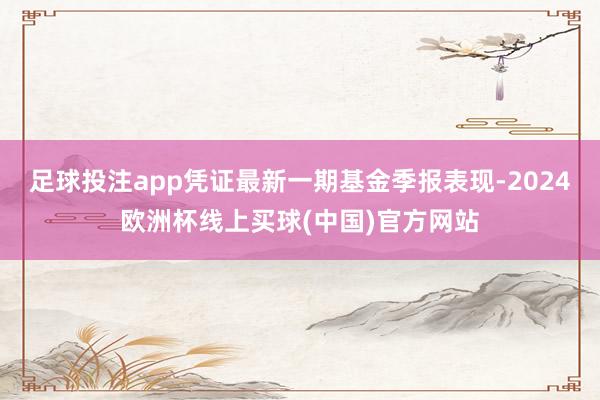 足球投注app凭证最新一期基金季报表现-2024欧洲杯线上买球(中国)官方网站