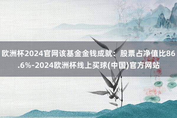 欧洲杯2024官网该基金金钱成就：股票占净值比86.6%-2024欧洲杯线上买球(中国)官方网站