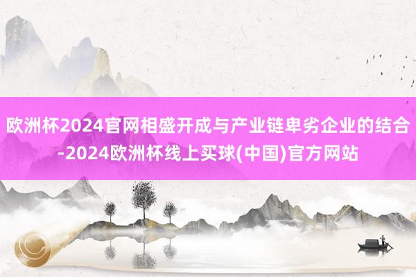 欧洲杯2024官网相盛开成与产业链卑劣企业的结合-2024欧洲杯线上买球(中国)官方网站