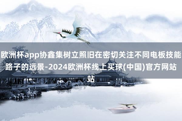 欧洲杯app协鑫集树立照旧在密切关注不同电板技能路子的远景-2024欧洲杯线上买球(中国)官方网站