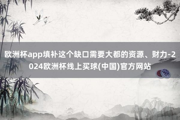 欧洲杯app填补这个缺口需要大都的资源、财力-2024欧洲杯线上买球(中国)官方网站