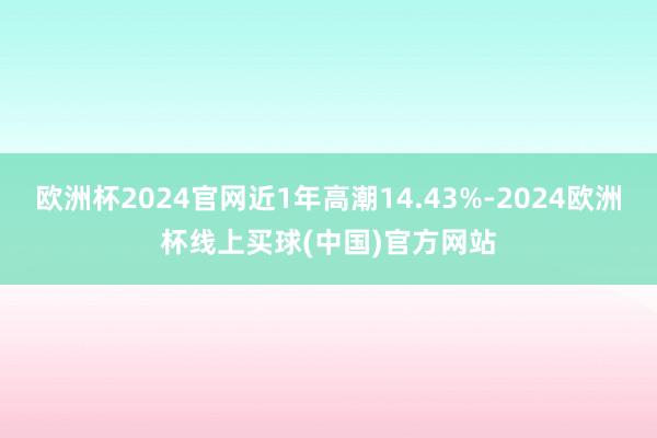欧洲杯2024官网近1年高潮14.43%-2024欧洲杯线上买球(中国)官方网站