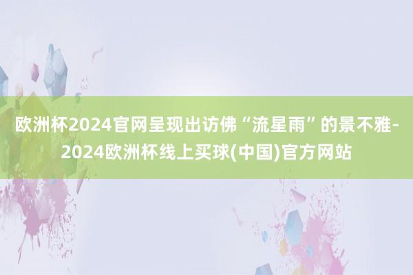欧洲杯2024官网呈现出访佛“流星雨”的景不雅-2024欧洲杯线上买球(中国)官方网站