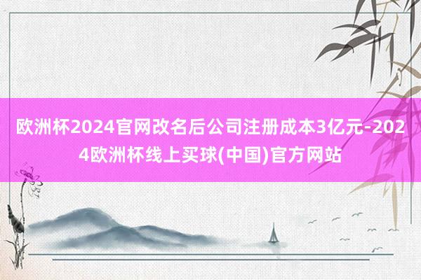 欧洲杯2024官网改名后公司注册成本3亿元-2024欧洲杯线上买球(中国)官方网站