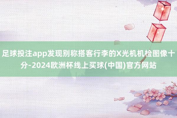 足球投注app发现别称搭客行李的X光机机检图像十分-2024欧洲杯线上买球(中国)官方网站