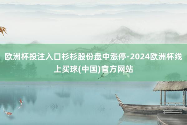 欧洲杯投注入口杉杉股份盘中涨停-2024欧洲杯线上买球(中国)官方网站