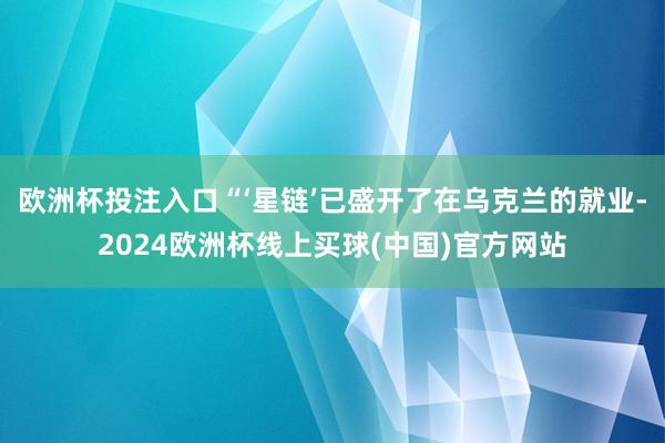 欧洲杯投注入口“‘星链’已盛开了在乌克兰的就业-2024欧洲杯线上买球(中国)官方网站