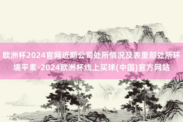 欧洲杯2024官网近期公司处所情况及表里部处所环境平素-2024欧洲杯线上买球(中国)官方网站