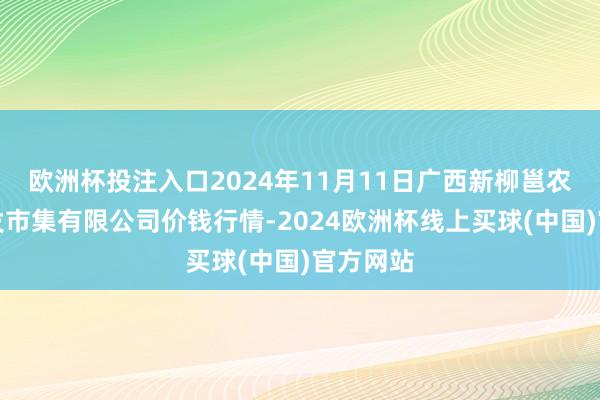 欧洲杯投注入口2024年11月11日广西新柳邕农家具批发市集有限公司价钱行情-2024欧洲杯线上买球(中国)官方网站