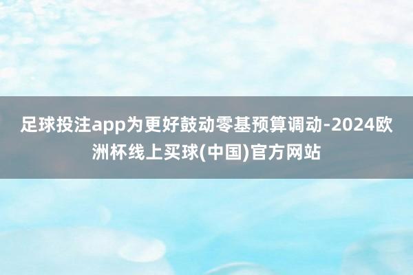 足球投注app为更好鼓动零基预算调动-2024欧洲杯线上买球(中国)官方网站