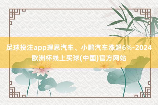 足球投注app理思汽车、小鹏汽车涨超6%-2024欧洲杯线上买球(中国)官方网站