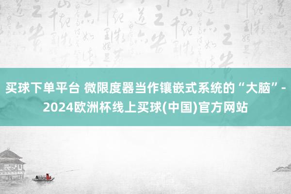 买球下单平台 微限度器当作镶嵌式系统的“大脑”-2024欧洲杯线上买球(中国)官方网站