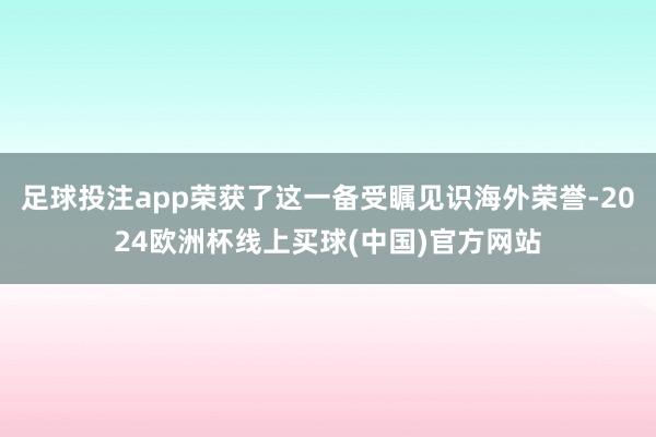 足球投注app荣获了这一备受瞩见识海外荣誉-2024欧洲杯线上买球(中国)官方网站