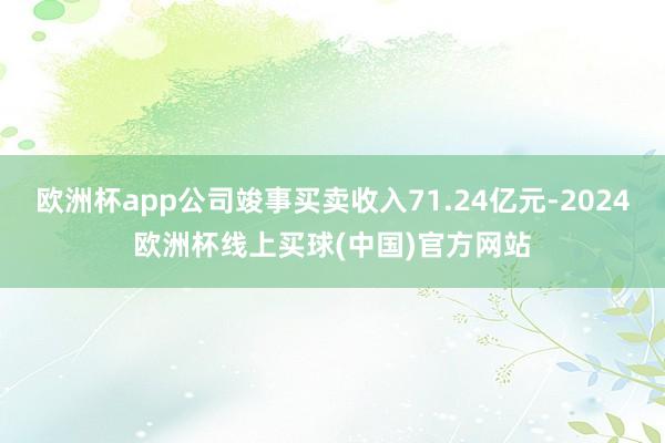 欧洲杯app公司竣事买卖收入71.24亿元-2024欧洲杯线上买球(中国)官方网站