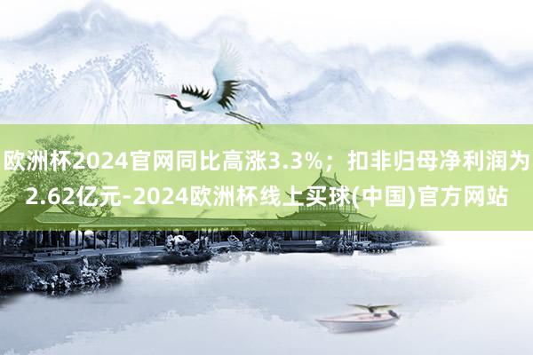 欧洲杯2024官网同比高涨3.3%；扣非归母净利润为2.62亿元-2024欧洲杯线上买球(中国)官方网站