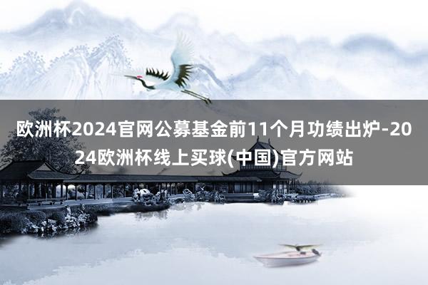 欧洲杯2024官网公募基金前11个月功绩出炉-2024欧洲杯线上买球(中国)官方网站