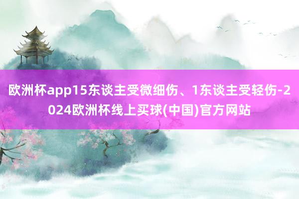欧洲杯app15东谈主受微细伤、1东谈主受轻伤-2024欧洲杯线上买球(中国)官方网站