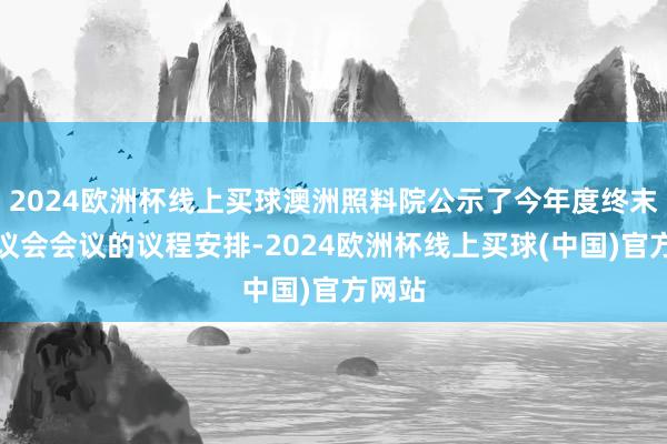 2024欧洲杯线上买球澳洲照料院公示了今年度终末一次议会会议的议程安排-2024欧洲杯线上买球(中国)官方网站