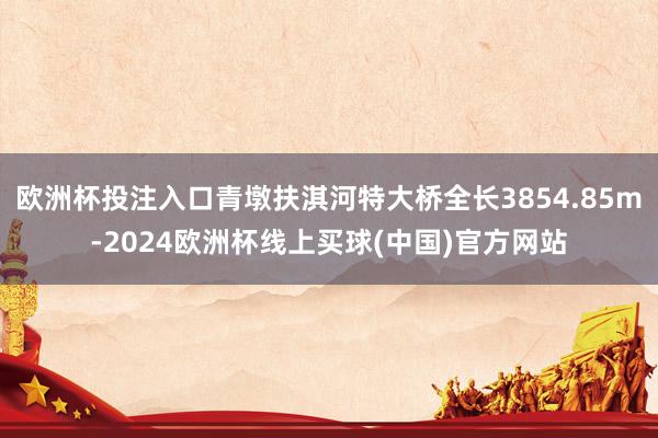 欧洲杯投注入口青墩扶淇河特大桥全长3854.85m-2024欧洲杯线上买球(中国)官方网站