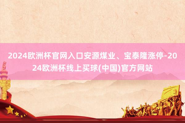 2024欧洲杯官网入口安源煤业、宝泰隆涨停-2024欧洲杯线上买球(中国)官方网站