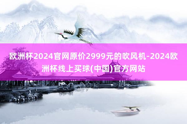 欧洲杯2024官网原价2999元的吹风机-2024欧洲杯线上买球(中国)官方网站