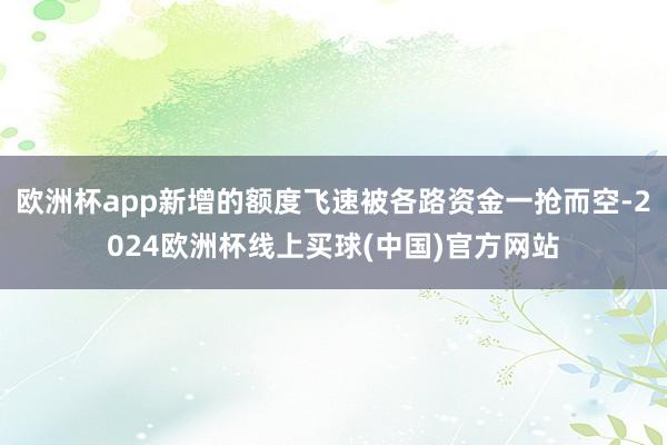 欧洲杯app新增的额度飞速被各路资金一抢而空-2024欧洲杯线上买球(中国)官方网站