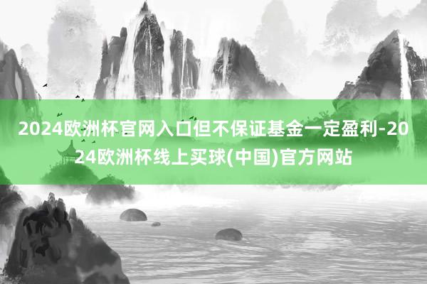 2024欧洲杯官网入口但不保证基金一定盈利-2024欧洲杯线上买球(中国)官方网站