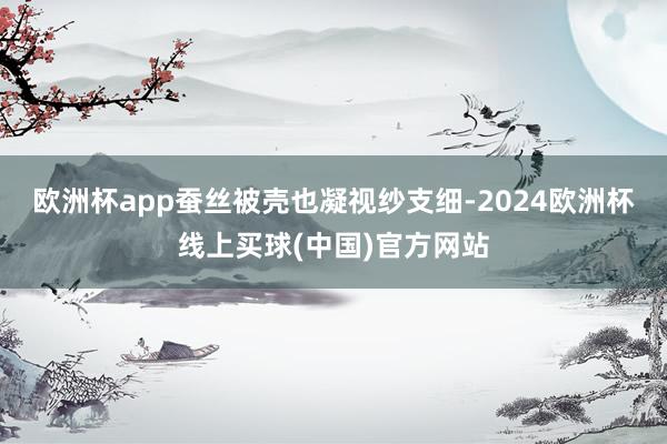 欧洲杯app蚕丝被壳也凝视纱支细-2024欧洲杯线上买球(中国)官方网站