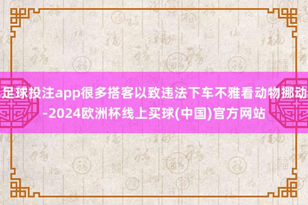 足球投注app很多搭客以致违法下车不雅看动物挪动-2024欧洲杯线上买球(中国)官方网站