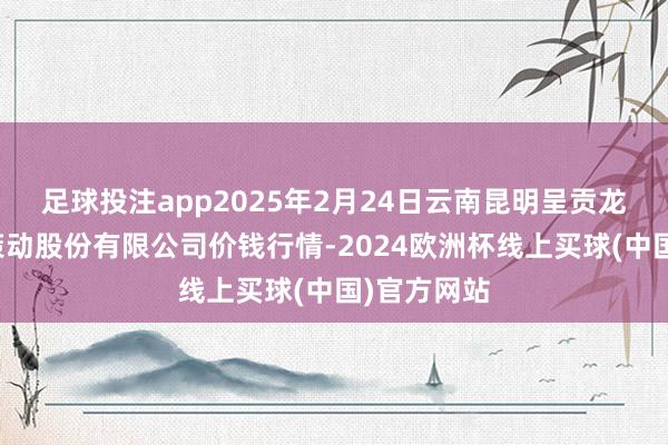 足球投注app2025年2月24日云南昆明呈贡龙城农家具策动股份有限公司价钱行情-2024欧洲杯线上买球(中国)官方网站