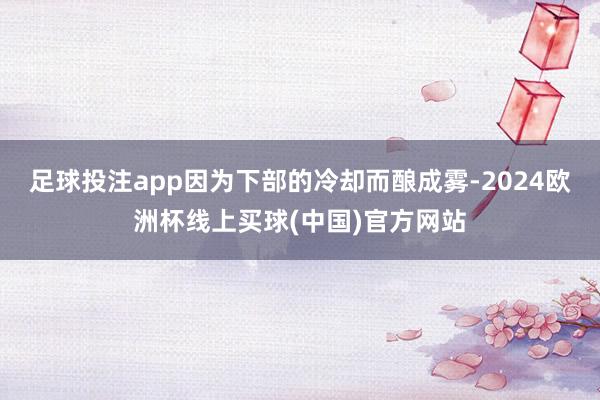 足球投注app因为下部的冷却而酿成雾-2024欧洲杯线上买球(中国)官方网站