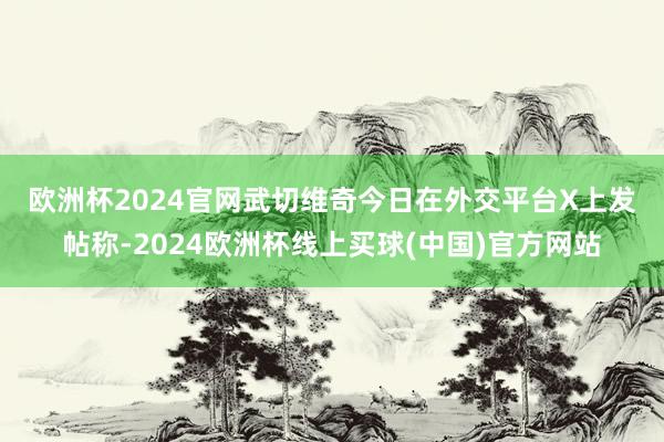 欧洲杯2024官网　　武切维奇今日在外交平台X上发帖称-2024欧洲杯线上买球(中国)官方网站