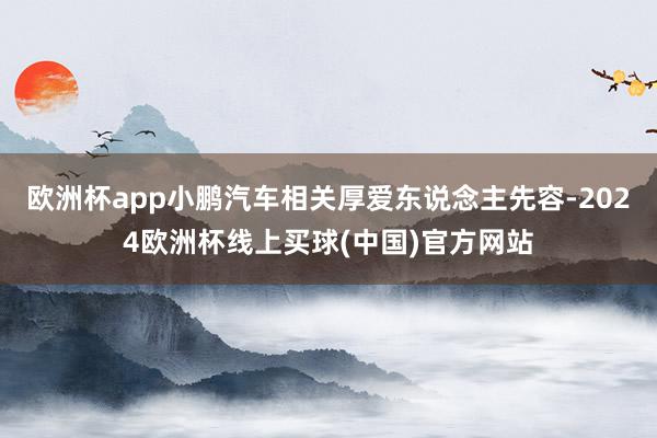 欧洲杯app小鹏汽车相关厚爱东说念主先容-2024欧洲杯线上买球(中国)官方网站