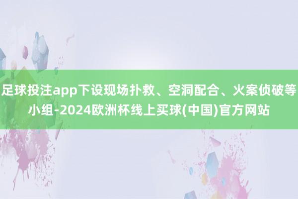 足球投注app下设现场扑救、空洞配合、火案侦破等小组-2024欧洲杯线上买球(中国)官方网站