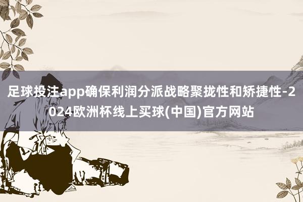 足球投注app确保利润分派战略聚拢性和矫捷性-2024欧洲杯线上买球(中国)官方网站