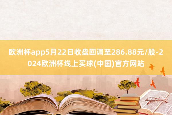 欧洲杯app5月22日收盘回调至286.88元/股-2024欧洲杯线上买球(中国)官方网站
