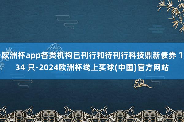 欧洲杯app各类机构已刊行和待刊行科技鼎新债券 134 只-2024欧洲杯线上买球(中国)官方网站