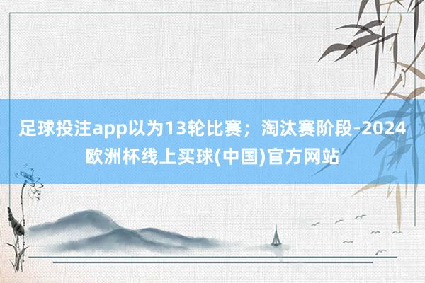 足球投注app以为13轮比赛；淘汰赛阶段-2024欧洲杯线上买球(中国)官方网站