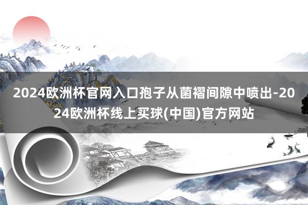 2024欧洲杯官网入口孢子从菌褶间隙中喷出-2024欧洲杯线上买球(中国)官方网站