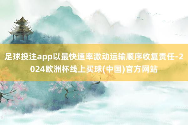 足球投注app以最快速率激动运输顺序收复责任-2024欧洲杯线上买球(中国)官方网站