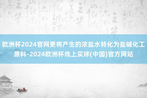欧洲杯2024官网更将产生的浓盐水转化为盐碱化工原料-2024欧洲杯线上买球(中国)官方网站