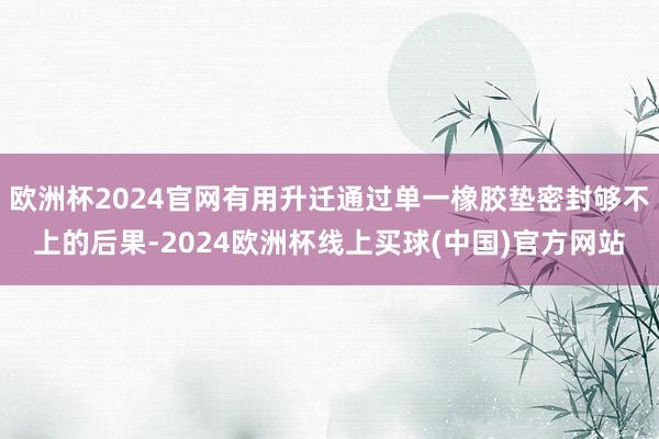 欧洲杯2024官网有用升迁通过单一橡胶垫密封够不上的后果-2024欧洲杯线上买球(中国)官方网站